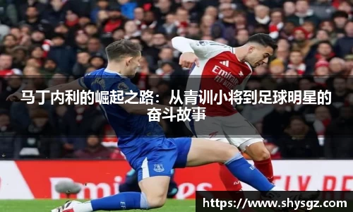 马丁内利的崛起之路：从青训小将到足球明星的奋斗故事