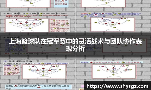 上海篮球队在冠军赛中的灵活战术与团队协作表现分析